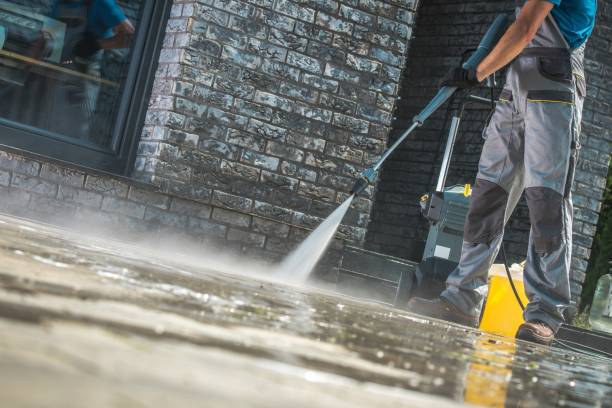 Best Driveway Pressure Washing  in Otterbe, IN