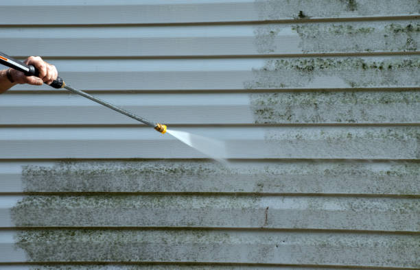 Best Fence Cleaning  in Otterbe, IN